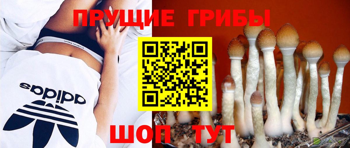 Псилоцибиновые грибы ЛСД Краснокаменск
